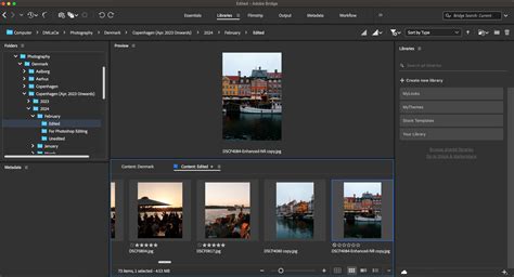 Image result for Tutorial for Adobe Bridge