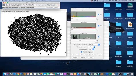 Image result for Manual Tracking ImageJ