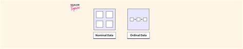 Image result for Ordinal vs Numerical Data