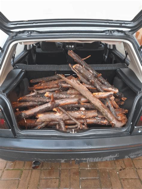 Logging Tree Fails Compilation 的图像结果