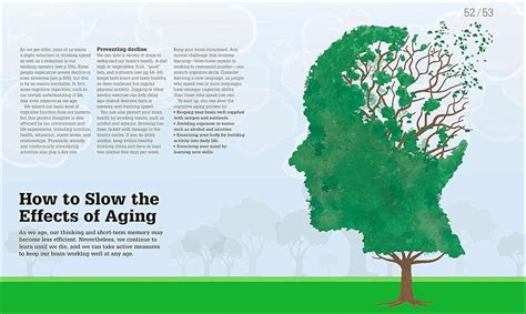 How the Brain Works: The Facts Visually Explained India | Ubuy