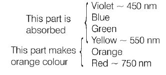 A carrot looks orange in colour because of the β carotene molecule in ...