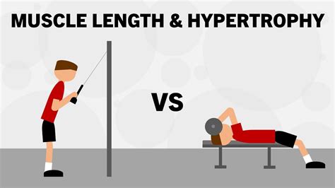 Image result for Hypertrophy Training Program Flow High Performance