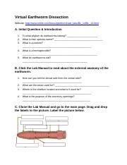 Image result for Free Virtual Earthworm Dissection Lab