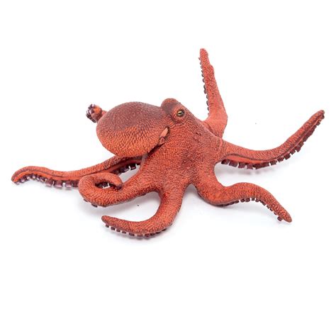 Image result for Octopus Metaheuristic Algorithm