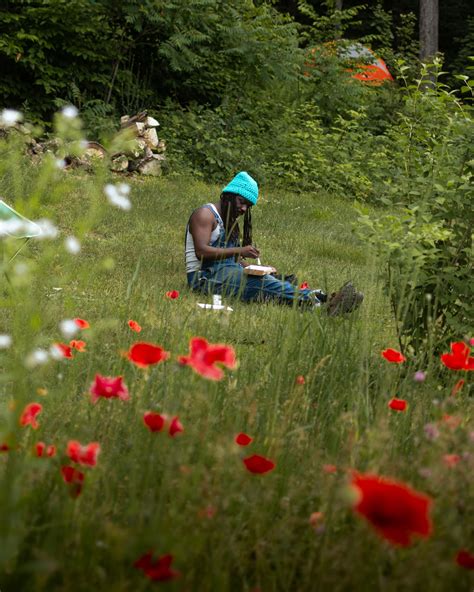 Sable Model-Building 的图像结果