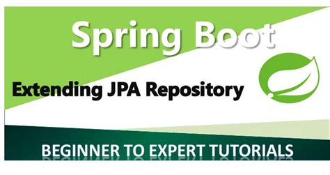 Image result for Spring Boot Repository Example