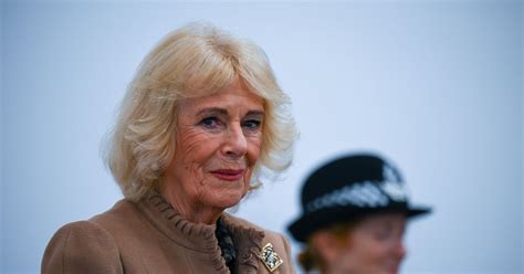 Camilla was ‘concerned’ Andrew row would impact on her work with abuse ...