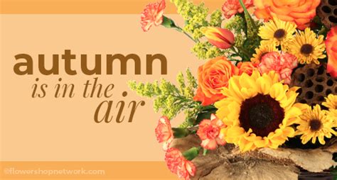 Flower Shop Network 的图像结果