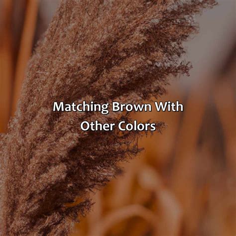 Brown Matching Colour 的图像结果