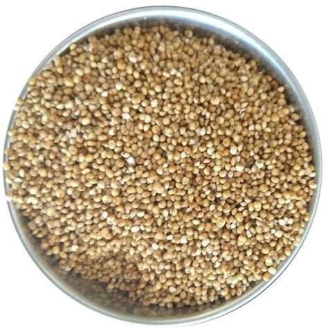 Kodo Millet Seeds Exporter,Kodo Millet Seeds Supplier from Bangalore India