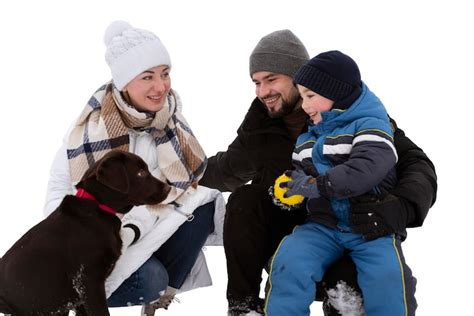 Page 2 | Winter pets Images - Free Download on Freepik