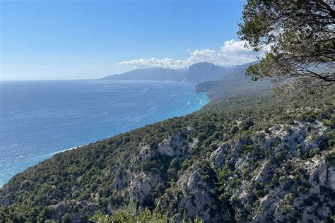 2024 (Sardinia) Dorgali Food, Wine and Handicrafts Tour from Cala Ganone