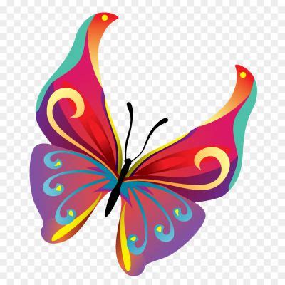Butterflies Vector PNG Pic - Pngsource