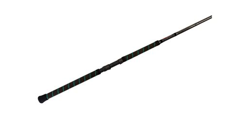 Phenix Abyss Spinning Rod, 20-50# Mod-Fast, 1 Pieces — CampSaver