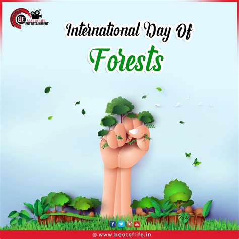 International Forest Day