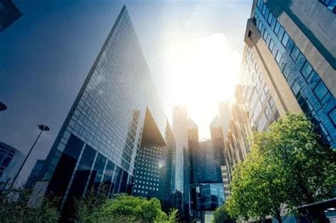 Trade and Customs service