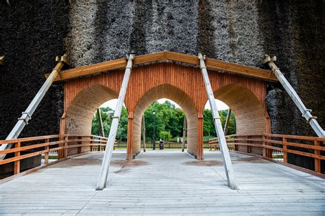 discover weed in Inowroclaw