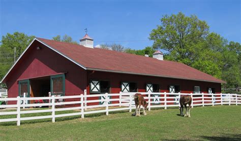 Clydesdale Horses And Barn Free Stock Photo - Public Domain Pictures