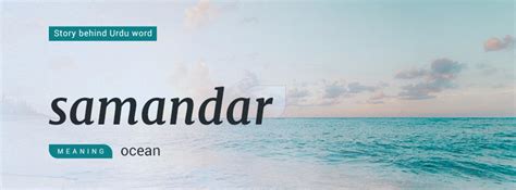 Samandar: Aag Bhi Paani Bhi | Rekhta Dictionary Blog