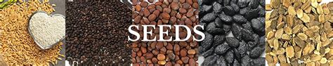 Amazon.in: Gachwala: Seeds