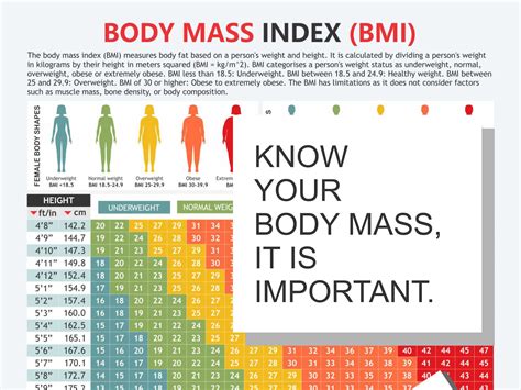 Body Mass Index Chart, Digital Download PDF, Height and Weight, Body ...