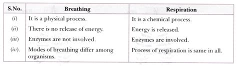 Distinguish between the following. Breathing and Respiration - CBSE ...