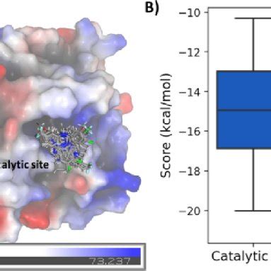 Image result for PyMOL Electrostatic Potential
