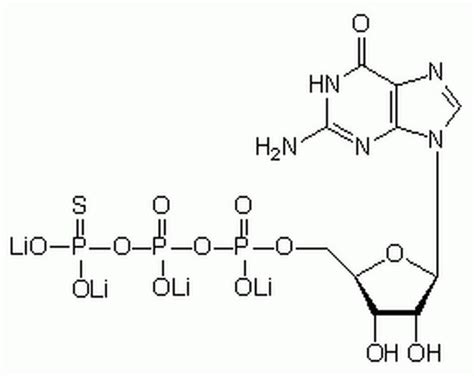 Guanosine 5ʹ-O-(3-Thiotriphosphate), Tetralithium Salt - CAS 94825-44-2 ...