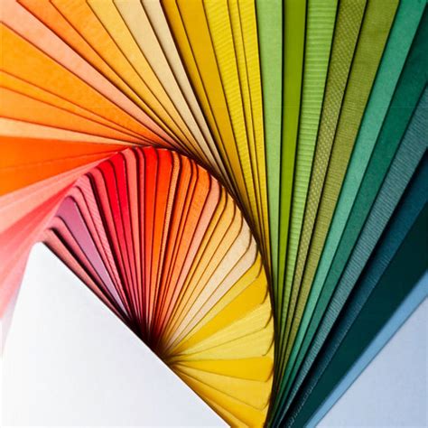 Understanding Color Palettes In Home Decor – One Triple Decor®