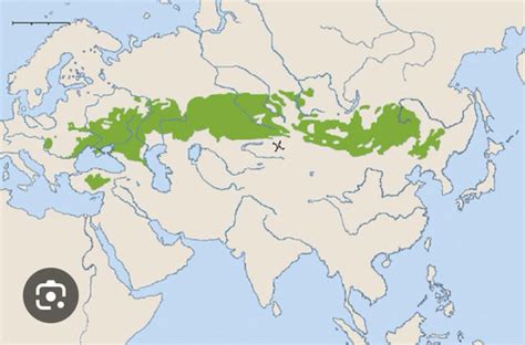 Asia 的图像结果