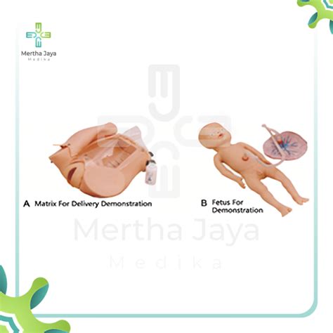 Advanced Delivery Mechanism Demonstration Simulator – Mertha Jaya Medika