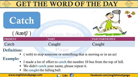 Catch Flash Card 的图像结果