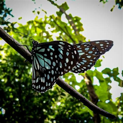 Re-Life Naturopathy Center