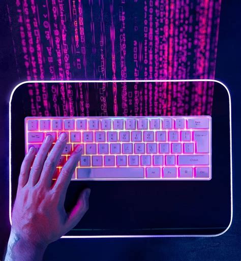 Image result for Full-Stack Python Development