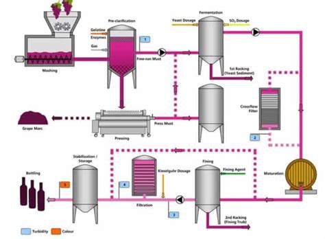 Wine Making Process 的图像结果