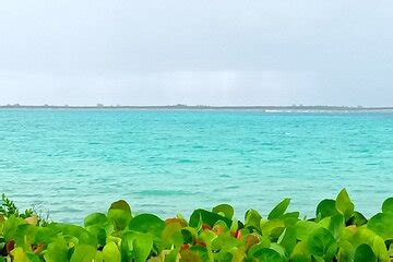 Private Half-day Island Hopping Getaway 2024 - New Providence Island ...