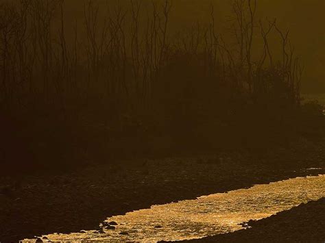 River of Gold | Nature inFocus