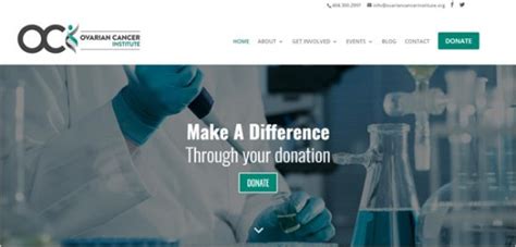 Image result for Divi Theme Examples