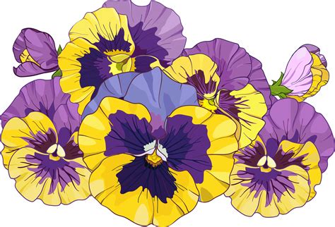 Yellow And Purple Flower Clipart