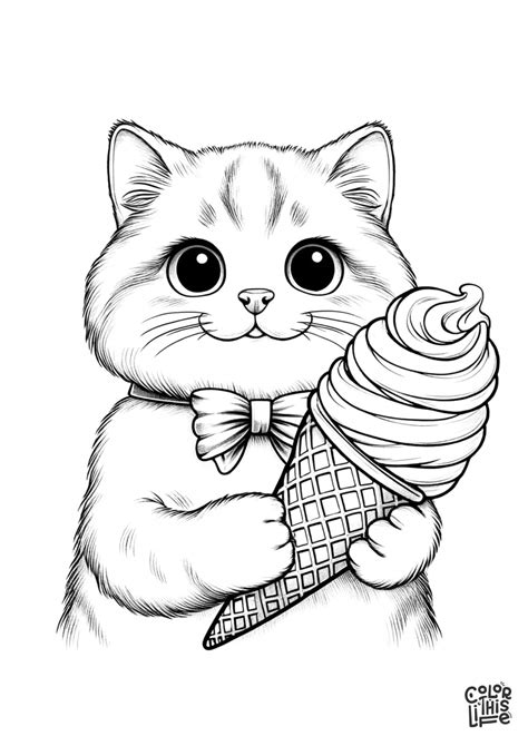 Image result for Set Operations in Python with Examples