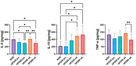 Effects of an Innovative High-Fat Diet on Intestinal Structure, Barrier Integrity, and ...