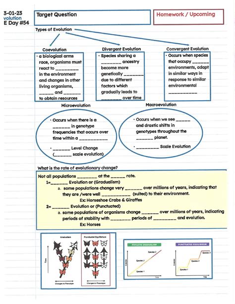 Evolution Notes Micro vs Macro - BIO 358 - Studocu