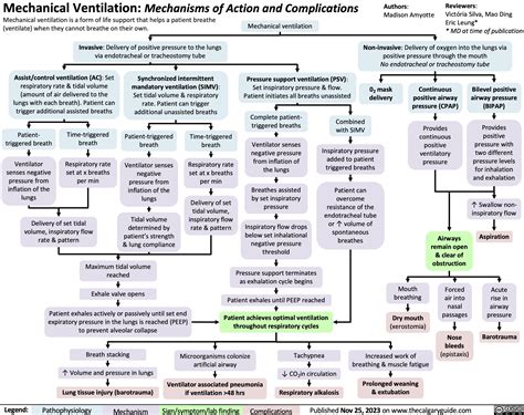 Maximum voluntary ventilation normal values. Maximal Voluntary ...