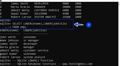Image result for SQL Command Line Lower String Function