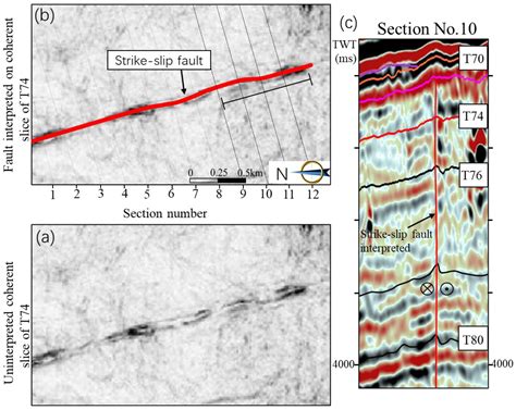Analyzing the Formation and Evolution of Strike-Slip Faults and Their ...