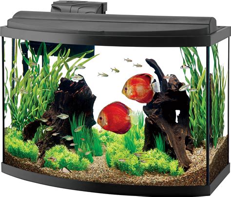 Aqueon 36 Gallon Bow Front Aquarium Stand 36 Gallon Bow Front Aquarium