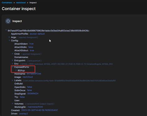 Image result for Docker Compose Spring Boot How to Expose Port