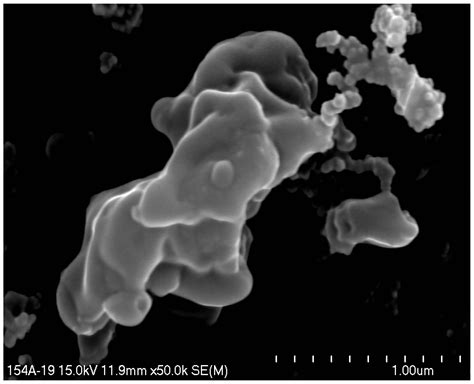 The Origin of Dust Particles in Atmospheric Air in Krakow (Poland ...