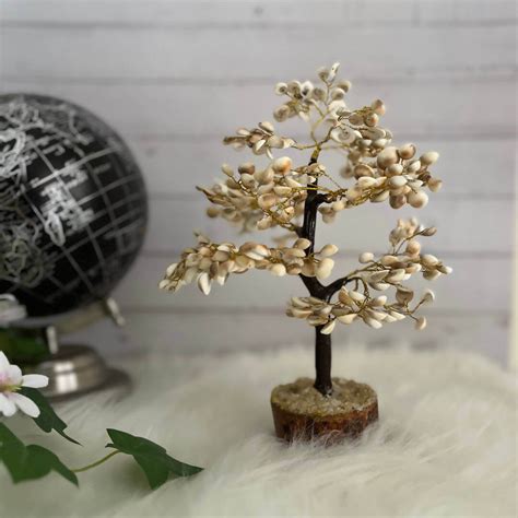 Gomti Chakra Tree for Good Health, Wealth & Prosperity (7 inches) – Wemy